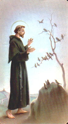 saintfrancis.jpg